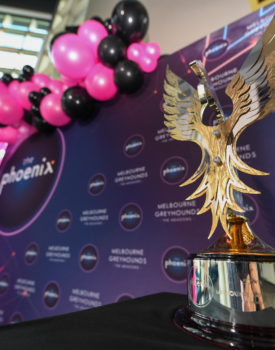 2022 Phoenix Trophy 2022 Phoenix Trophy