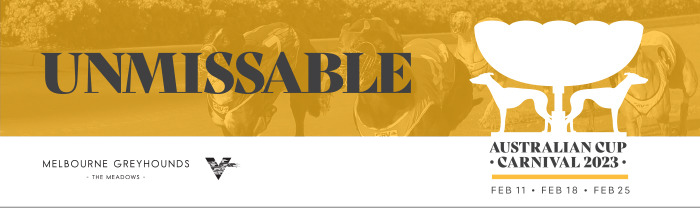 2023 Australian Cup Carnival Banner for articles