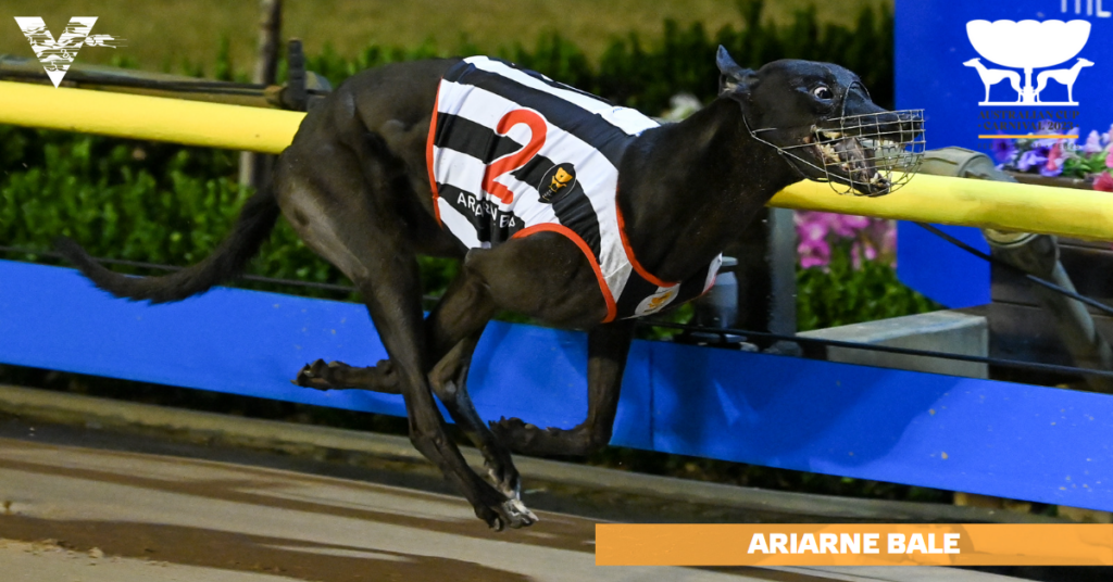 Ariarne Bale (Fanta Bale Super Stayers Final on 20230225 - FB)