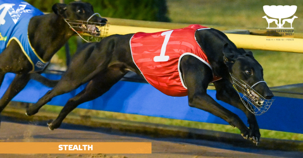 Stealth (Country Championship Final on 20230225 - FB) caption