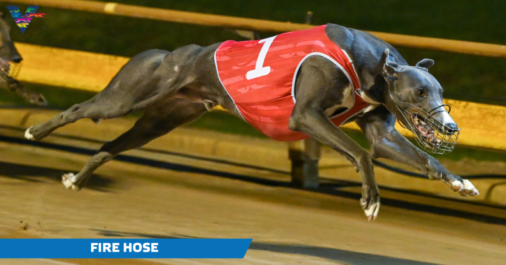 FIRE HOSE (Shepparton Cup Heats on 20230320)
