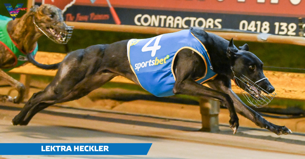 Lektra Heckler (Shepparton Cup Winner on 20230325)