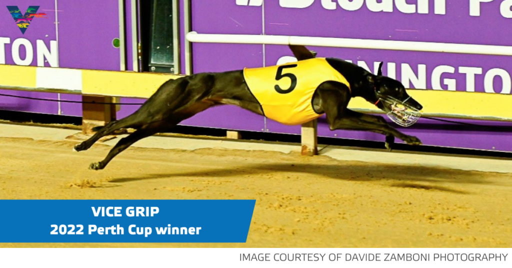 large-Vice Grip (Perth Cup Final on 20220319)