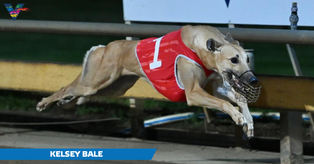 Kelsey Bale (Warrnambool Cup Heats on 20230427)