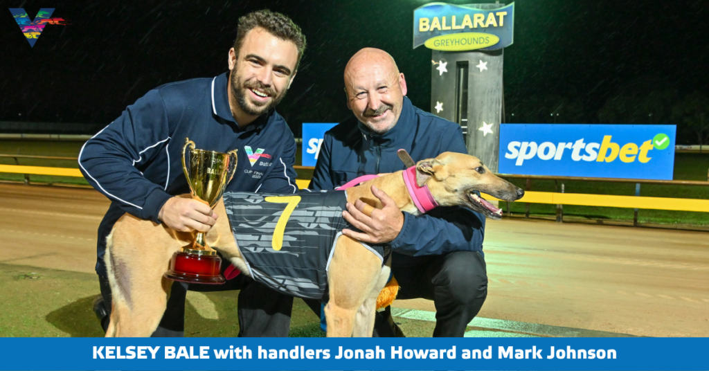 large-Kelsey Bale with Handlers 2 (Ballarat Cup Winner on 20230407)