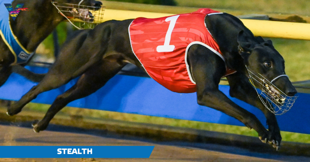 large-Stealth (Gary Brett Memorial on 20230421)