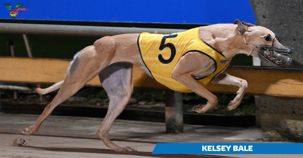 Kelsey Bale (Warrnambool Cup Winner on 20230503)