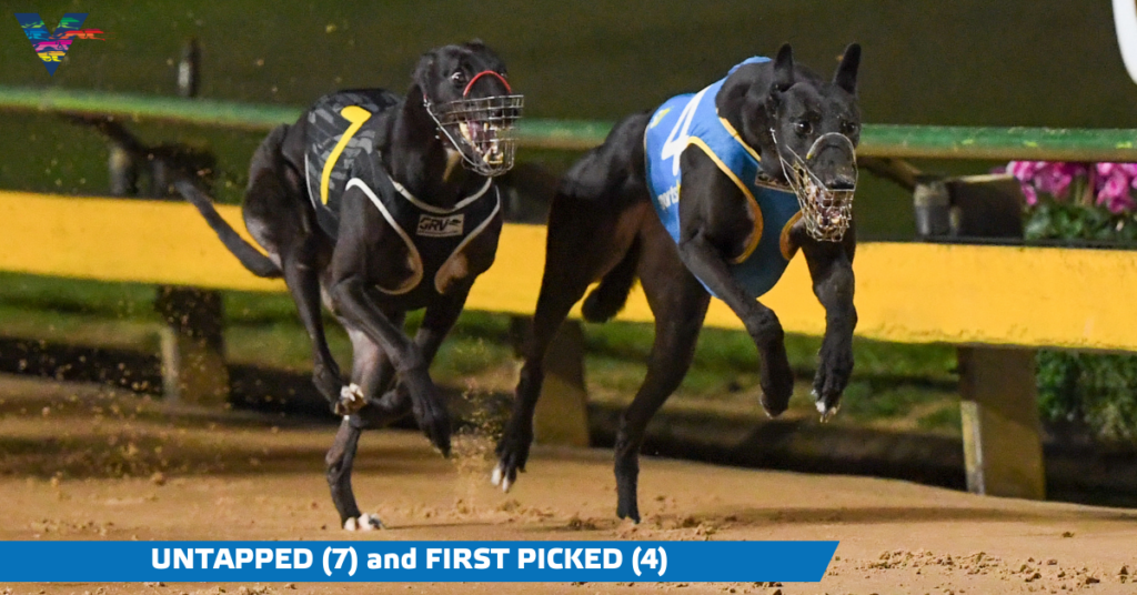 Untapped and First Picked (Sandown Cup Final on 20230526)