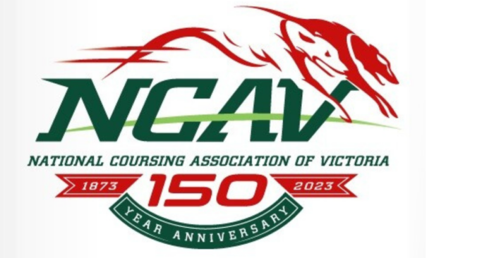 large-150th NCAV Logo
