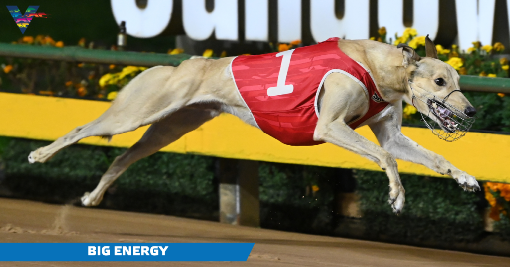 large-Big Energy (The Meadows on 20230513)