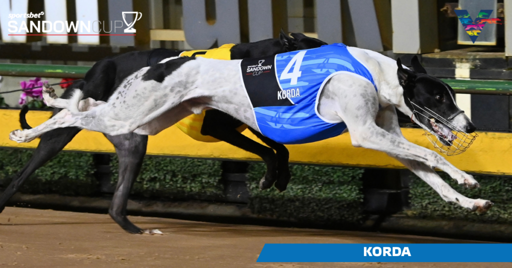 large-Korda (Sandown Cup Winner on 20230526)