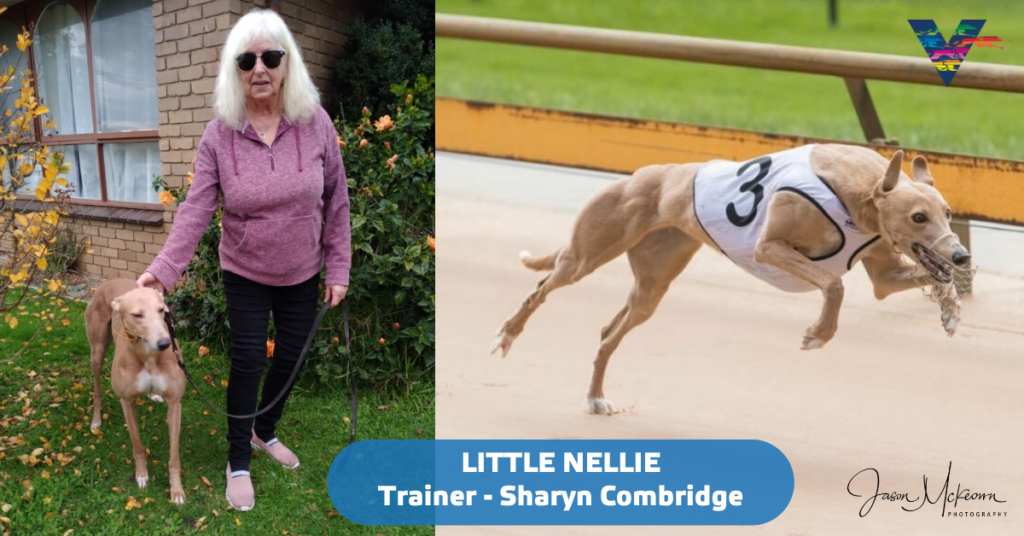 large-Little Nellie with Sharyn Combridge