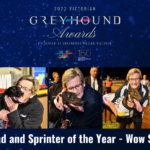 2023 Greyhound Of The Year - Wow Shes Fast