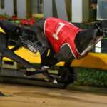 281 Race 6