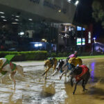 410 Race 9