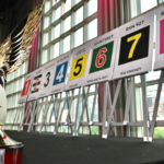 The interactive Box Draw was broadcast live from the Metropolis on Sunday morning