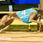 2024 Geelong Gold Cup Heats 5 - ETHANOL VOLUME