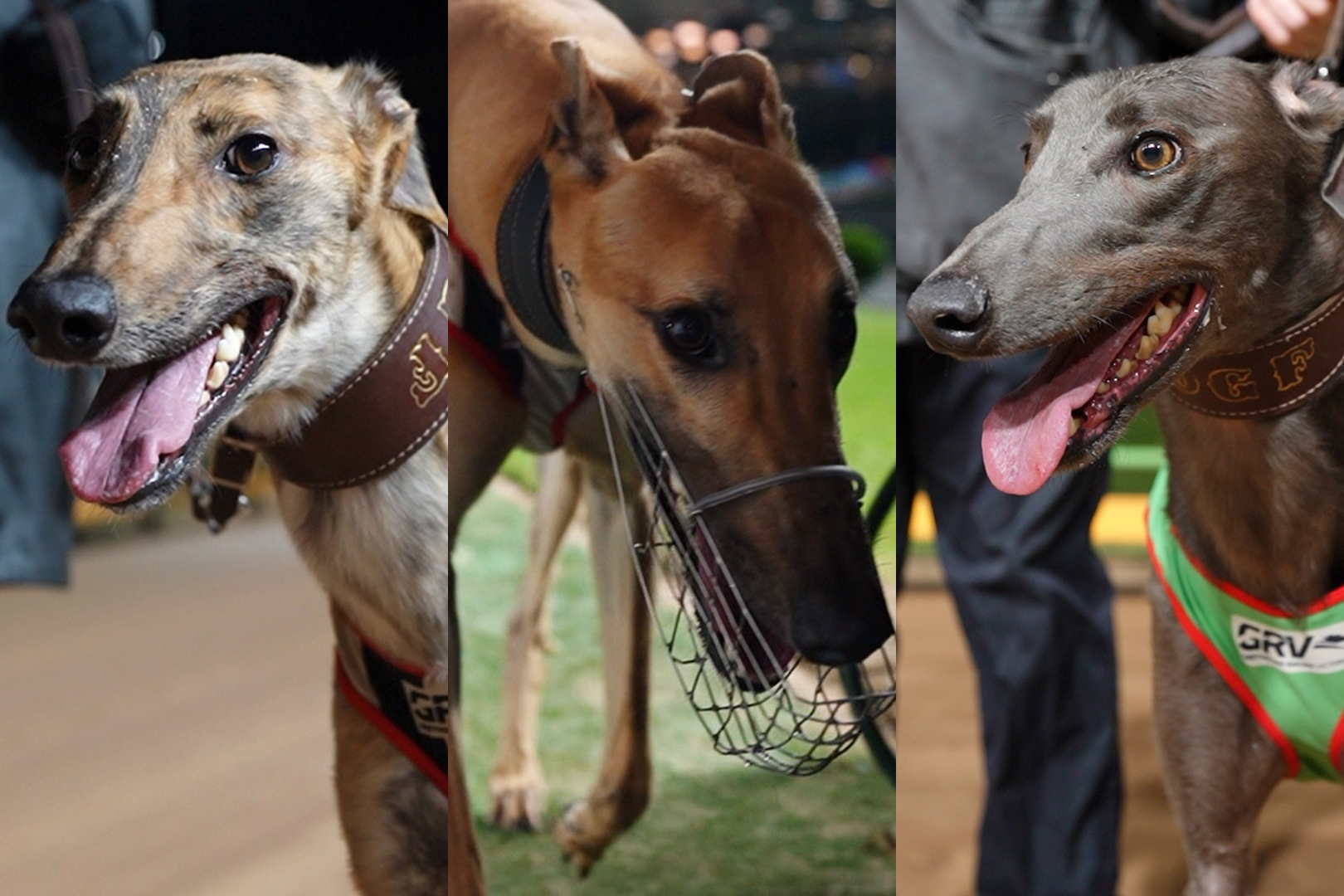 A look at the McKenna by the numbers