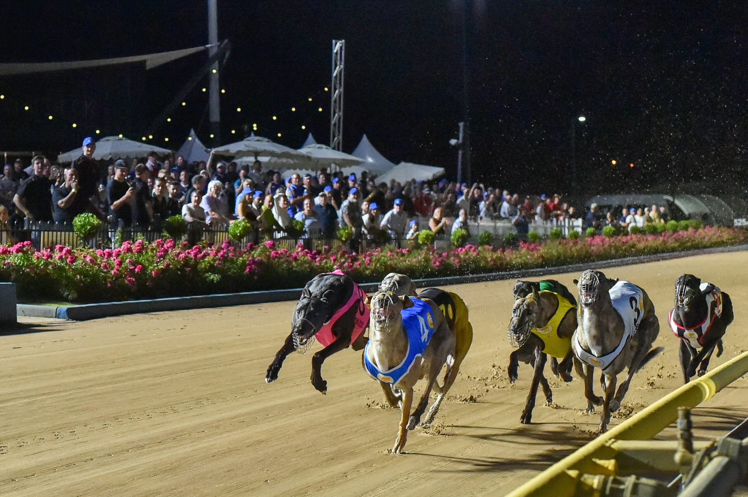Metro clubs set temporary unplaced prizemoney for Mondays, Wednesdays