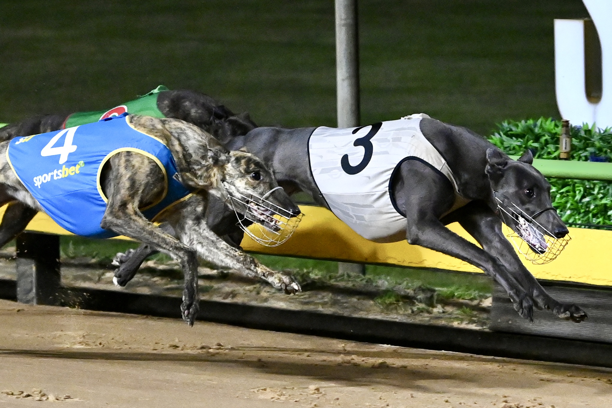 Zipper On Time Wins Group 2 Laurels at Sandown Park