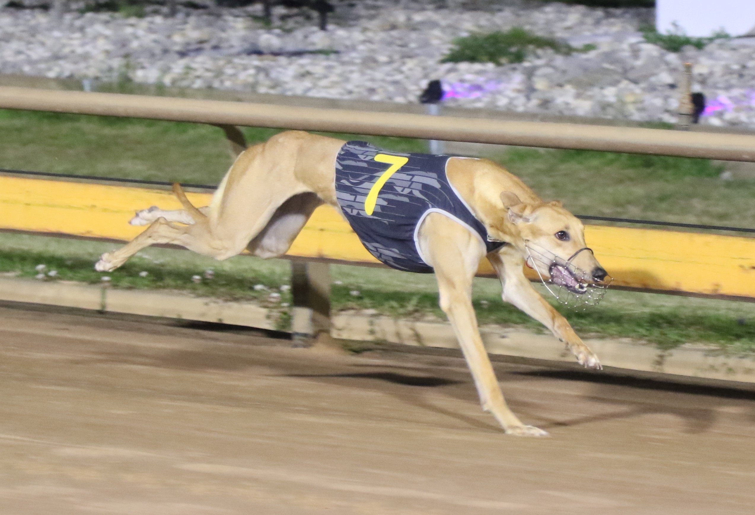 Distinction A Surprise Choice For Final Phoenix Slot