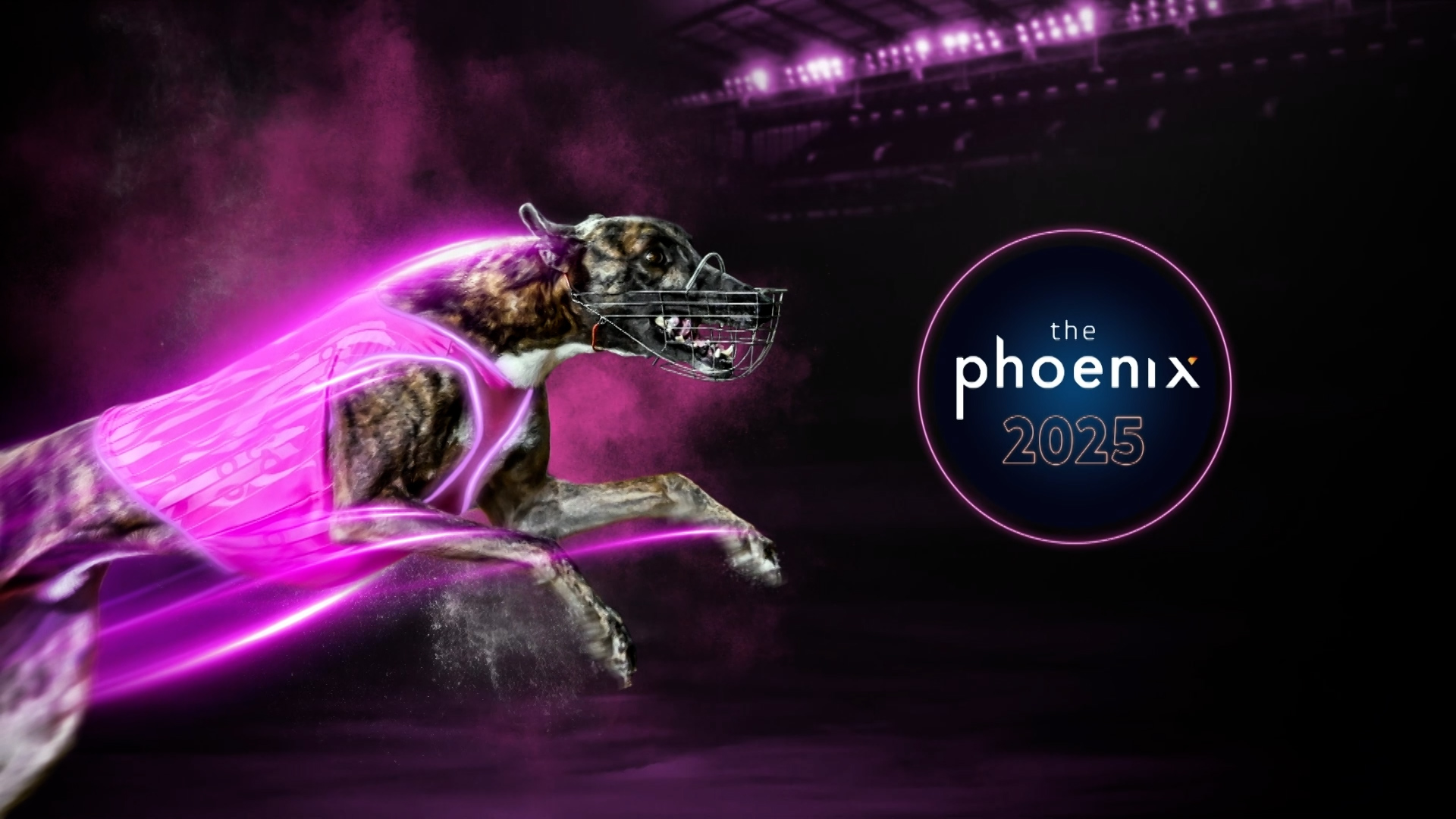 Phoenix Racking Logo Phoenix 2025 | Racing.com | GRV