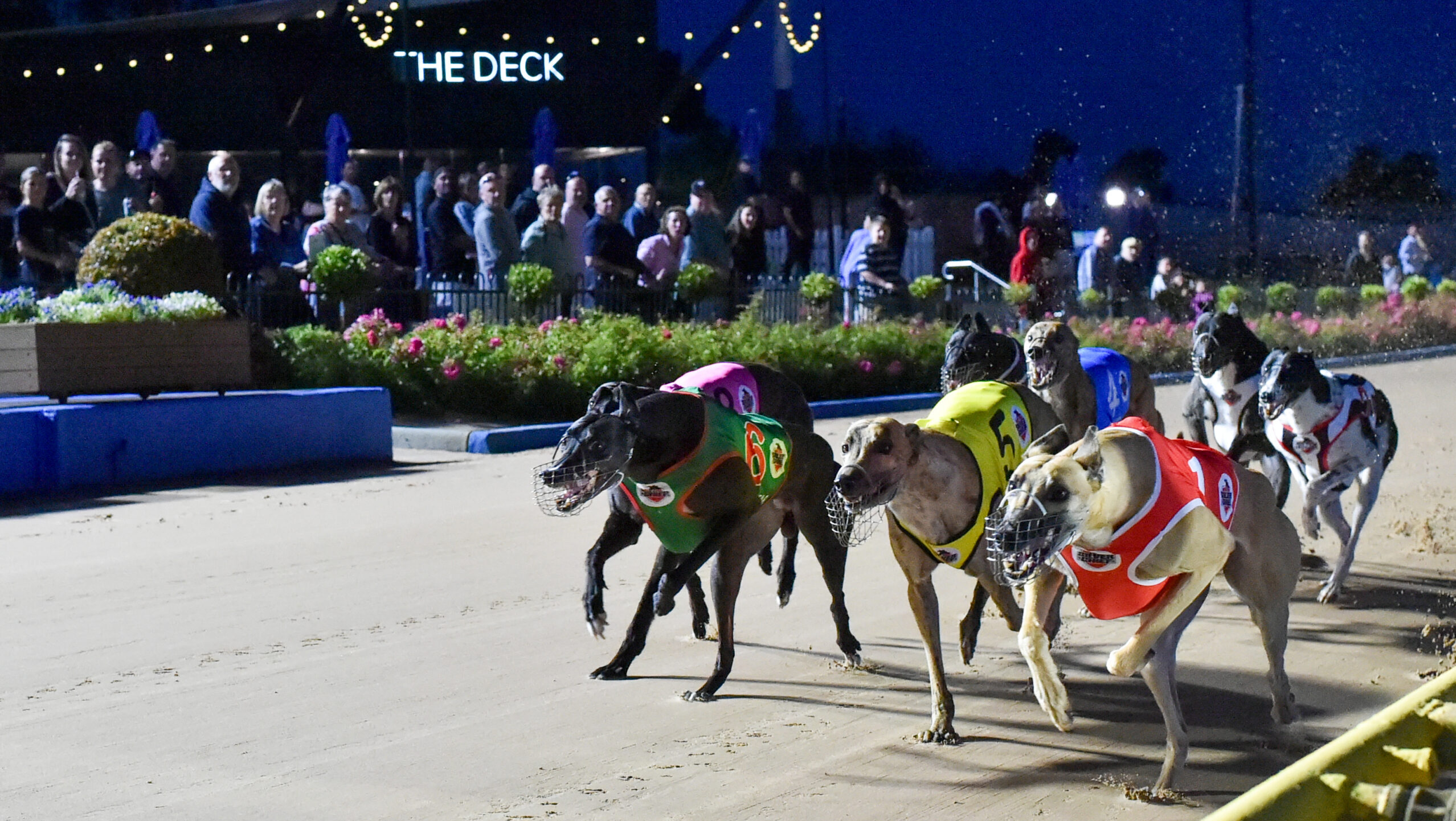 All 13 Victorian venues set to feature in 2026–27