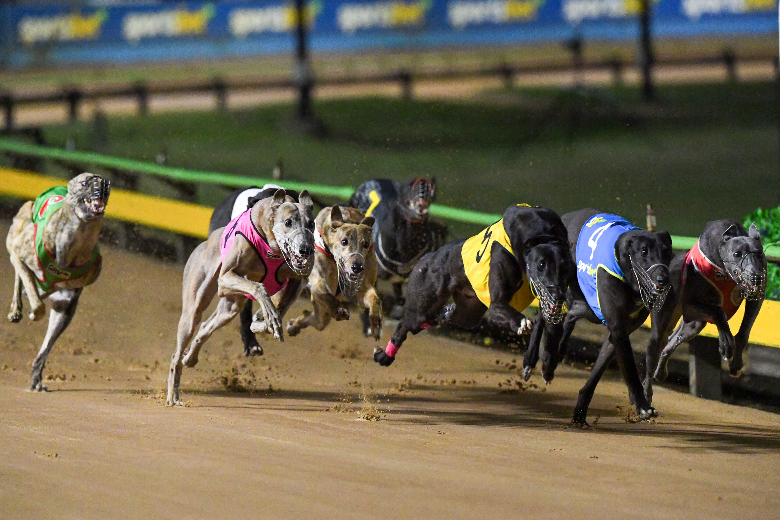 Cranbourne to feature level 2 prizemoney upon return