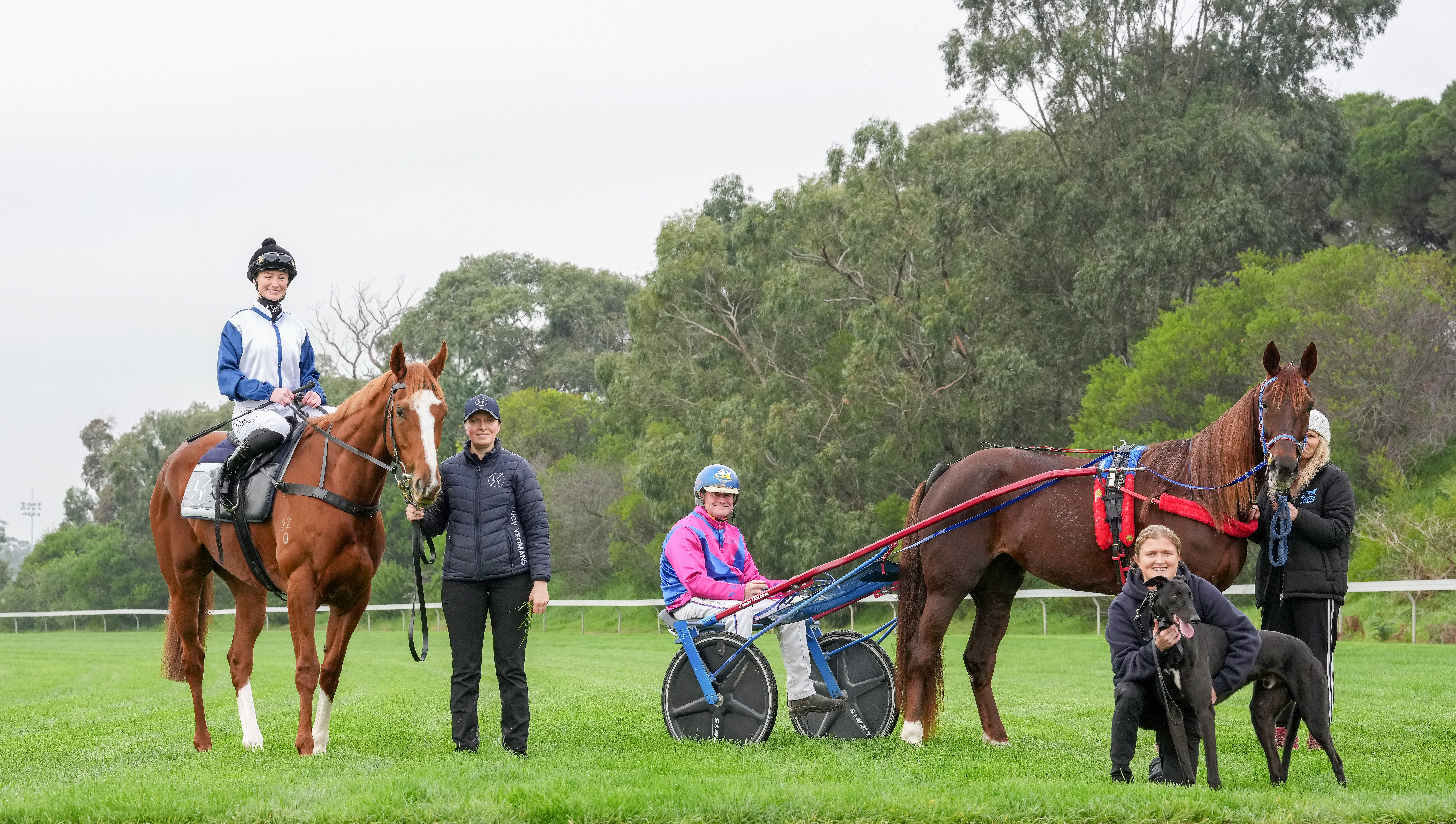 Greyhound racing's $854 million impact