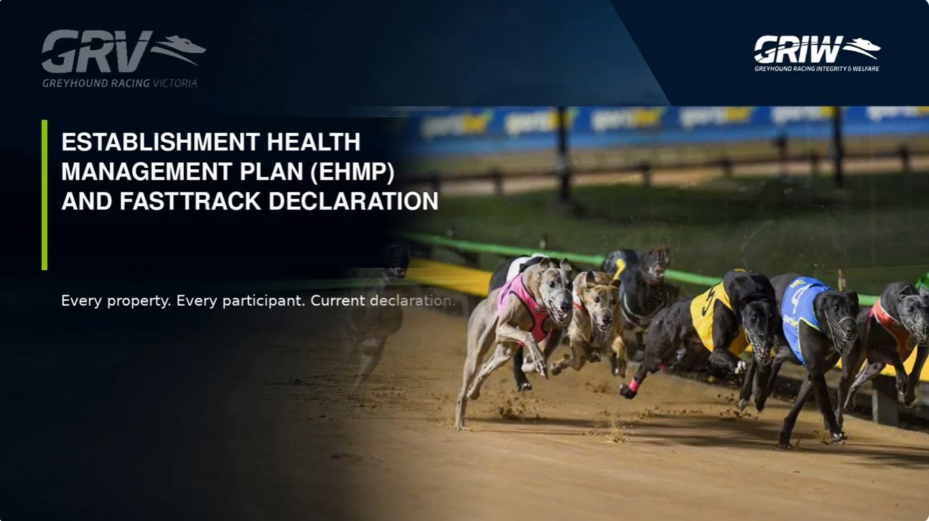 New EHMP education video and FastTrack declaration process