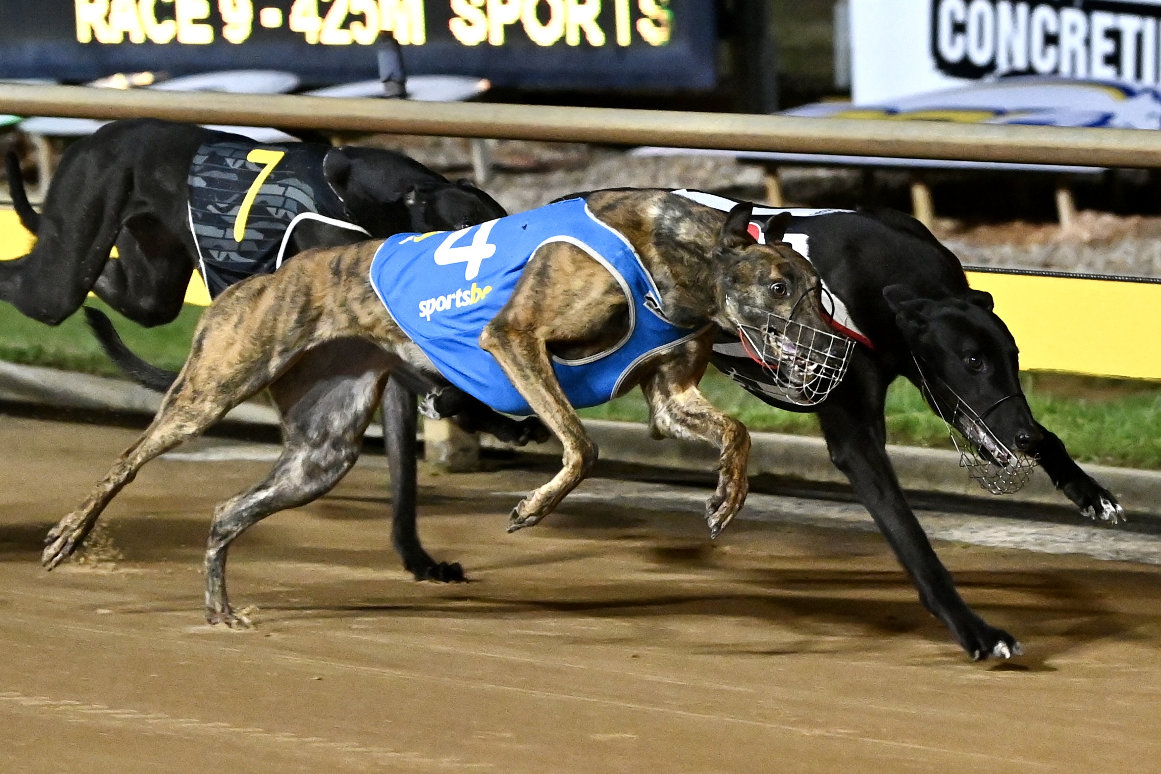 Race 9
